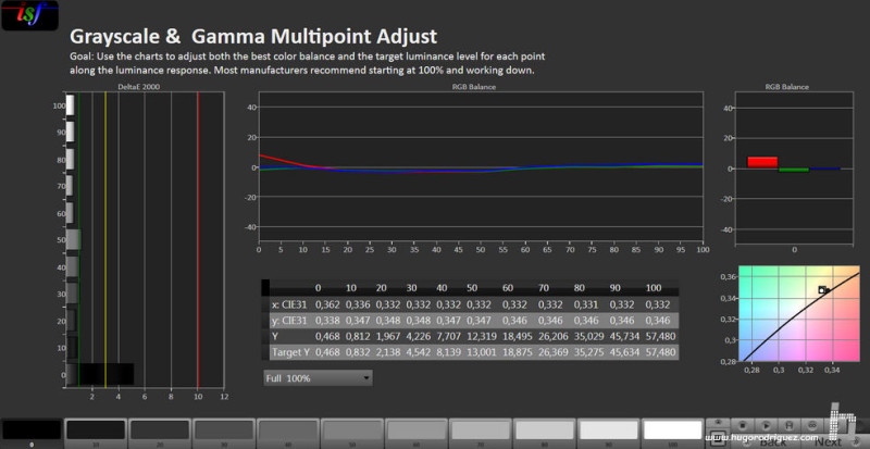 CALMan Gamma Results SONY Trinitron TVM