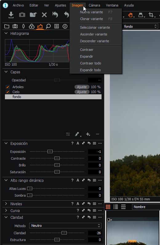 Interfaz CaptureOne 11 - Menu Imagen crop 520x795